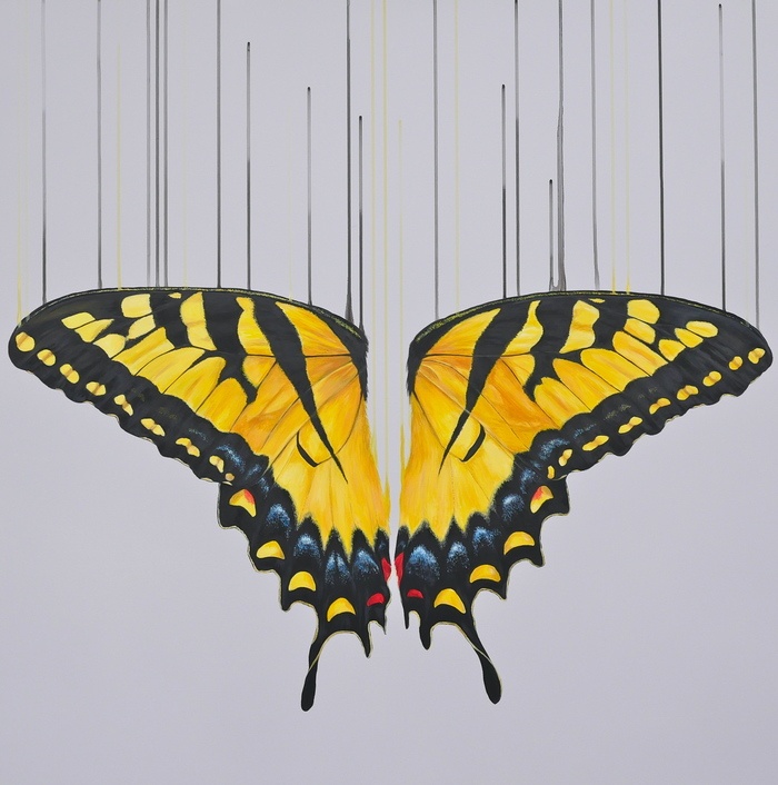 Kissed by the Sun par Louise McNaught