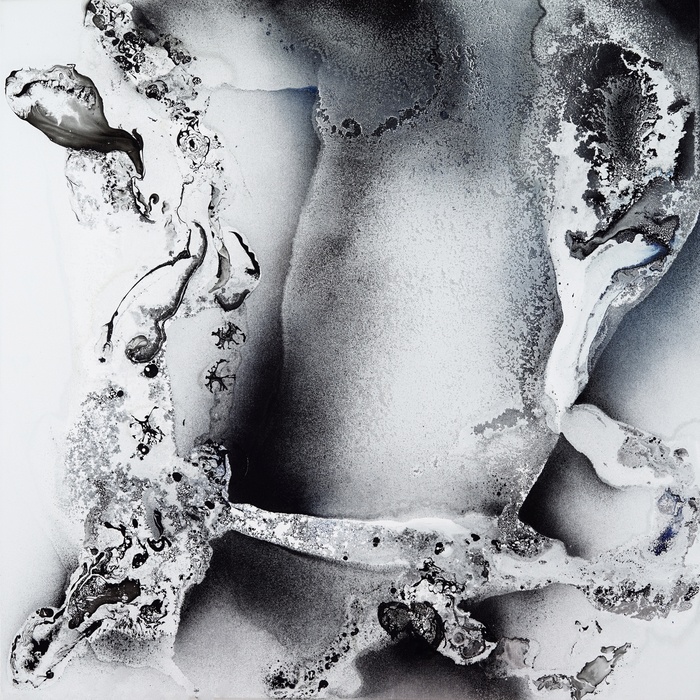 Concealed par Fintan Whelan