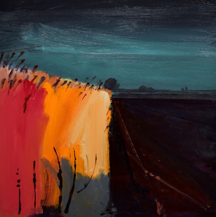 Bleak day in the Black Fens par Fred Ingrams