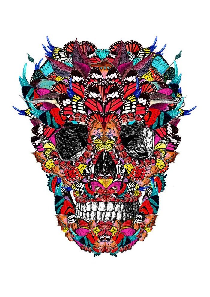 McQueen Kupa in Mexico (Medium) by Kristjana S Williams