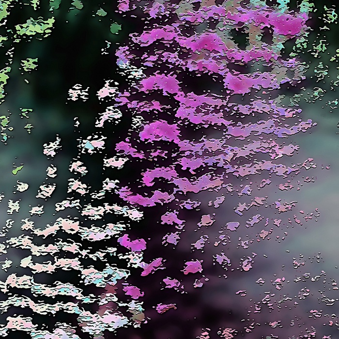 Coral Dive von Reed Hearne