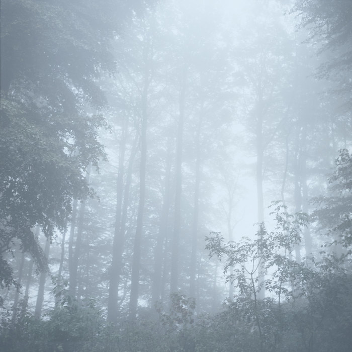 Hydrometeor #05 von Juliet Piper