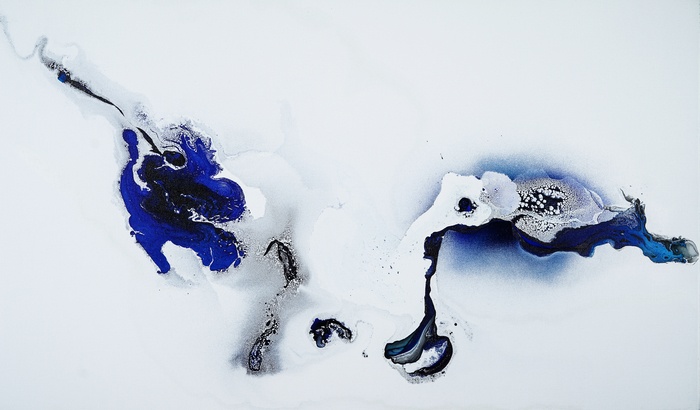 Gliding Skies by Fintan Whelan