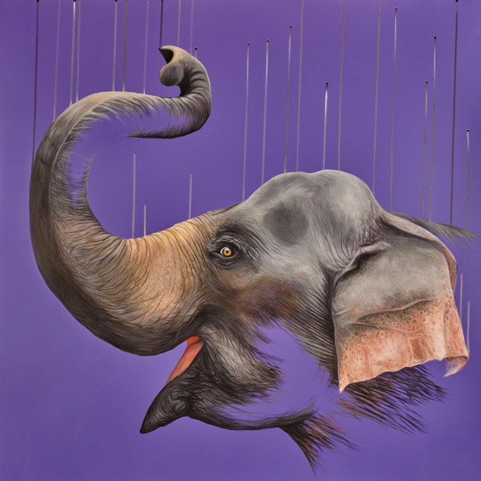 Unforgettable par Louise McNaught