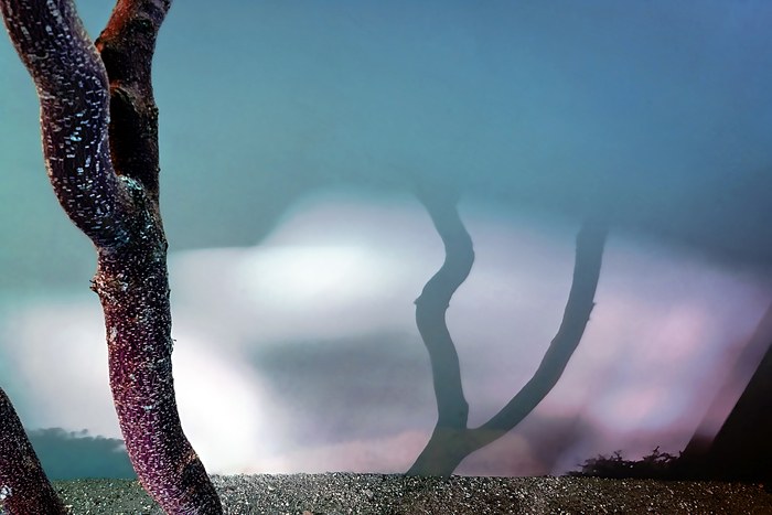 Act One. A Country Road. A Tree. by Reed Hearne