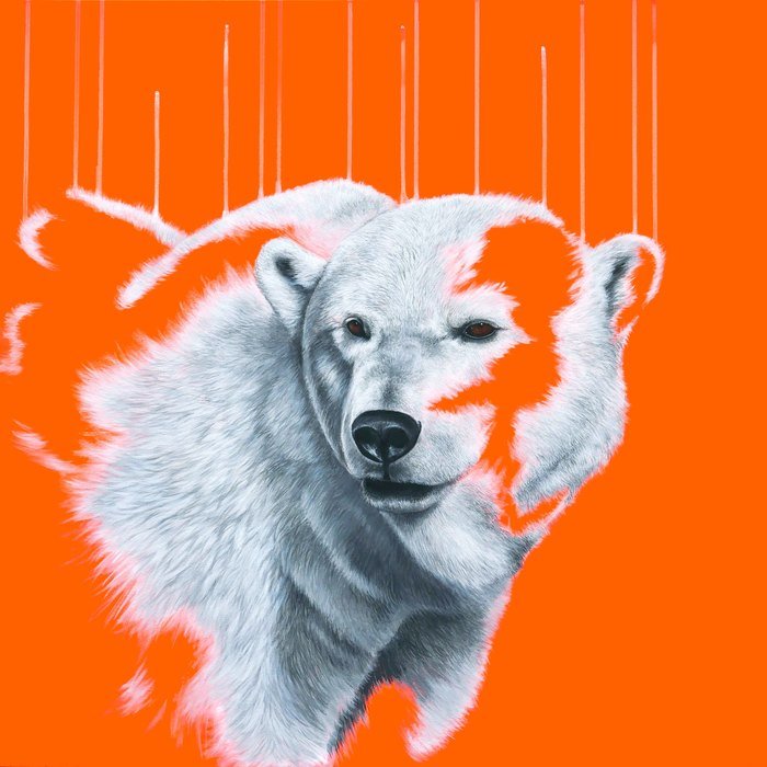 Northern Light by Louise McNaught