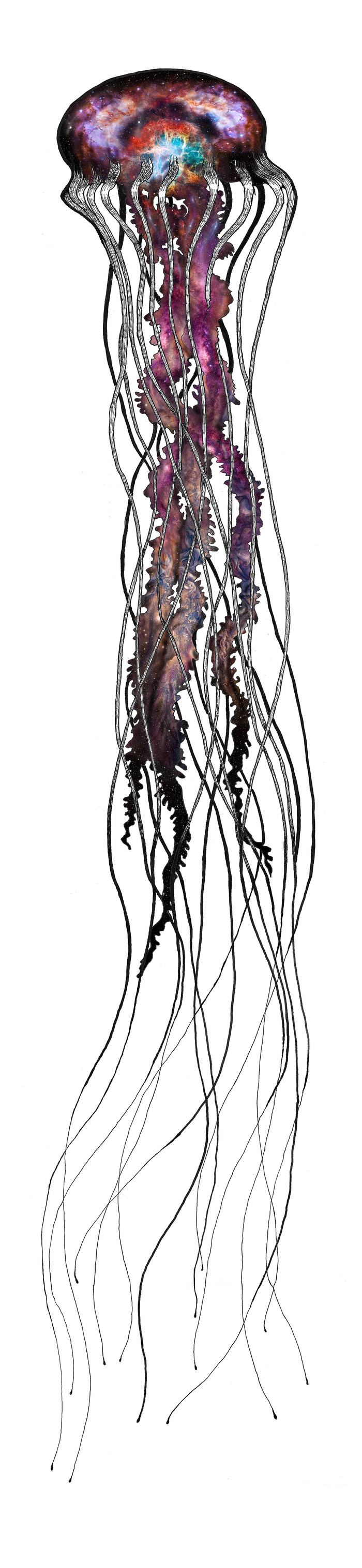 Jellyfish Cosmic Nervous System by Rosco Brittin