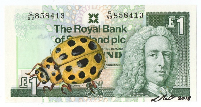 22 Spot Ladybird on Scottish Note par Louise McNaught