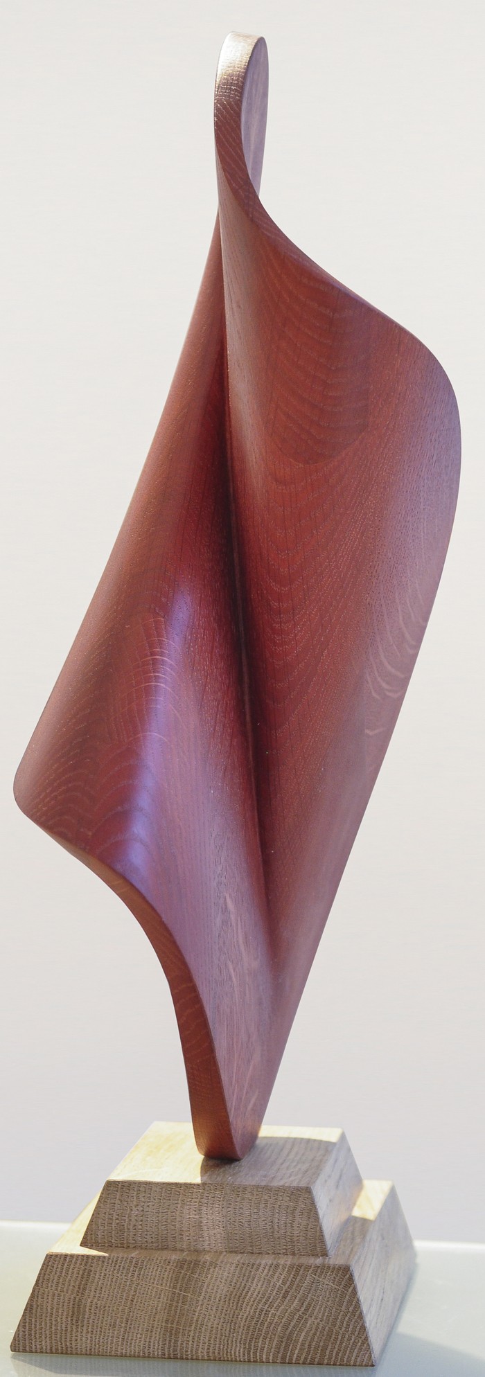 D-form of the red circle par Andrij Savchuk