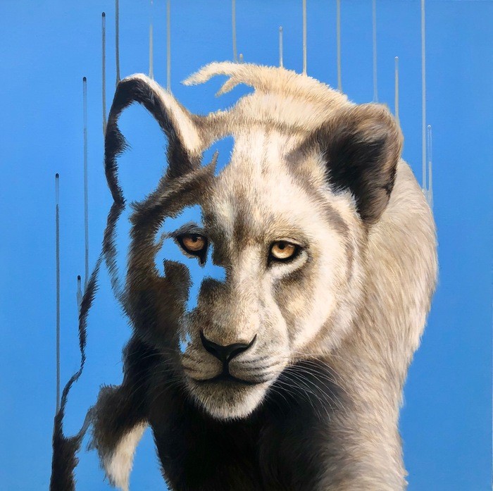 Heir von Louise McNaught