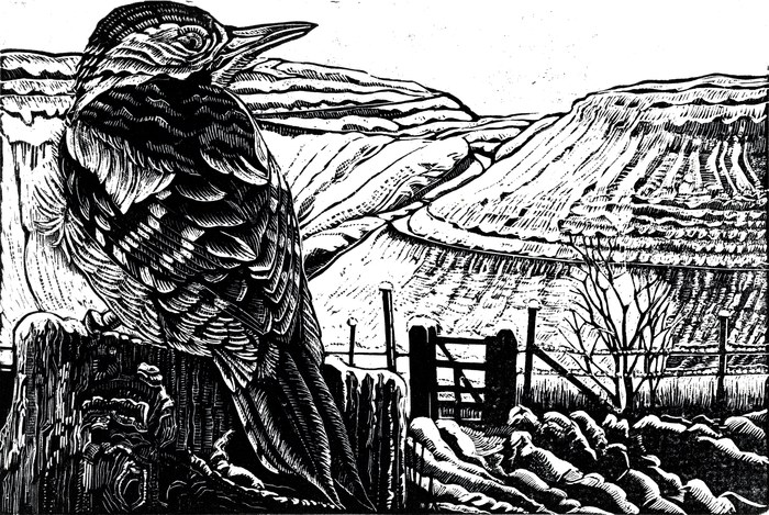 Silent Winter by Rebecca Coleman