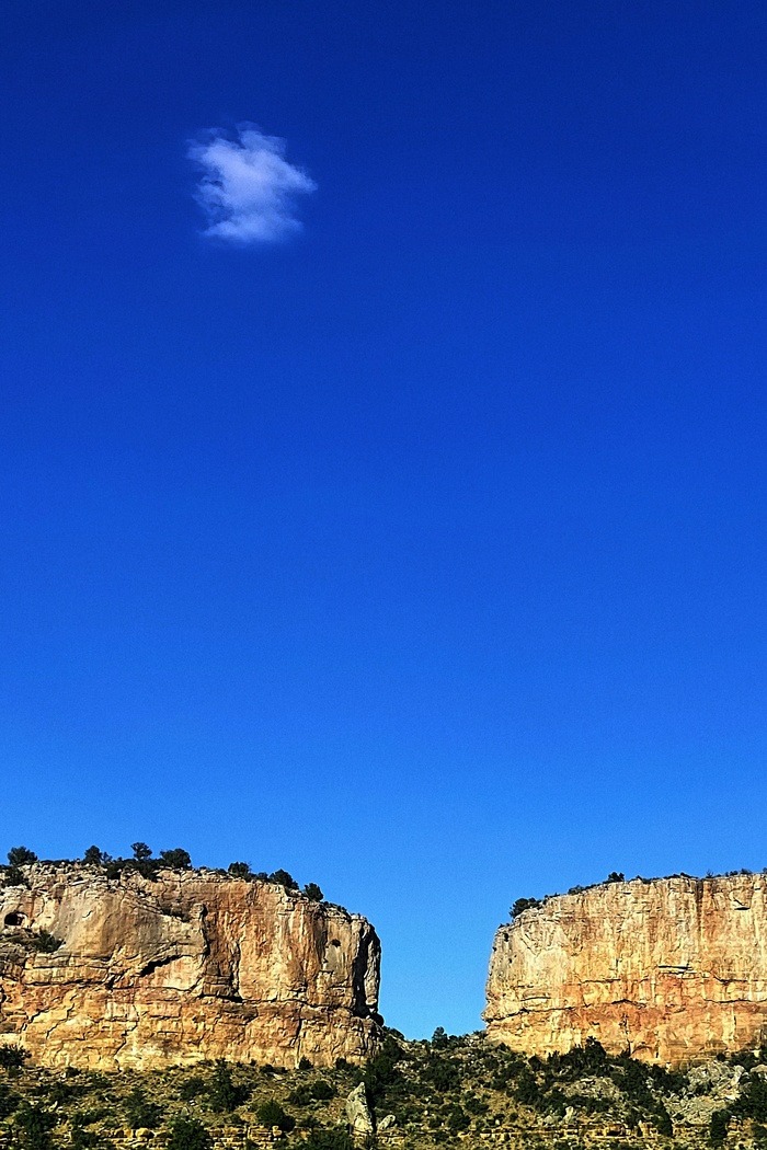 Tetris by Reed Hearne