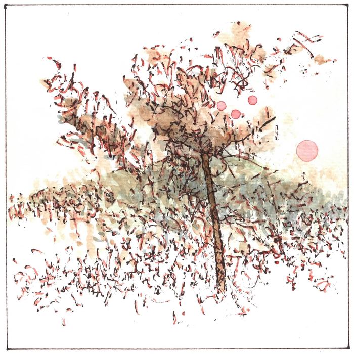 Pink sun by Simon M Smith