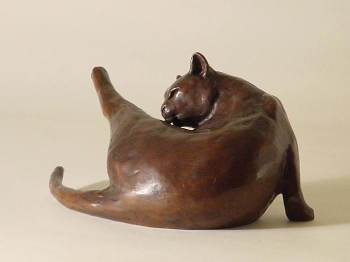 Washing Cat par Holly Bennett