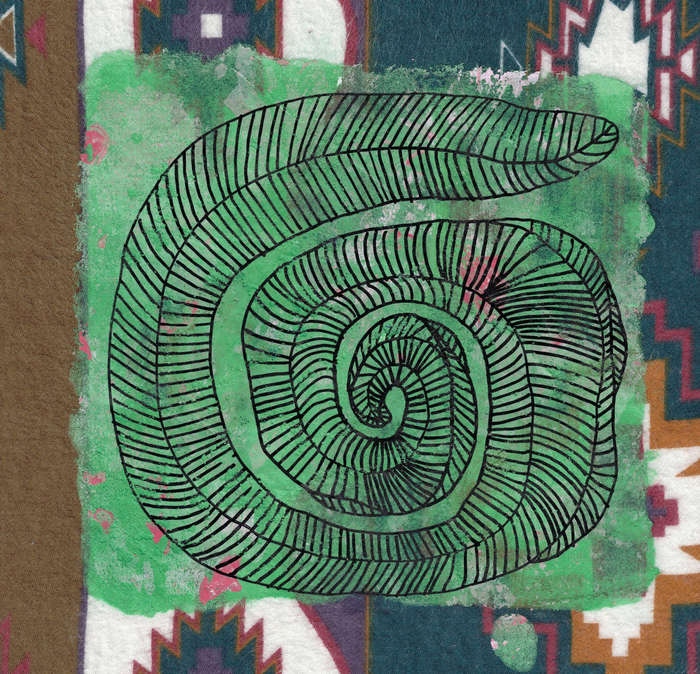 Caracol par Andrea Plaza
