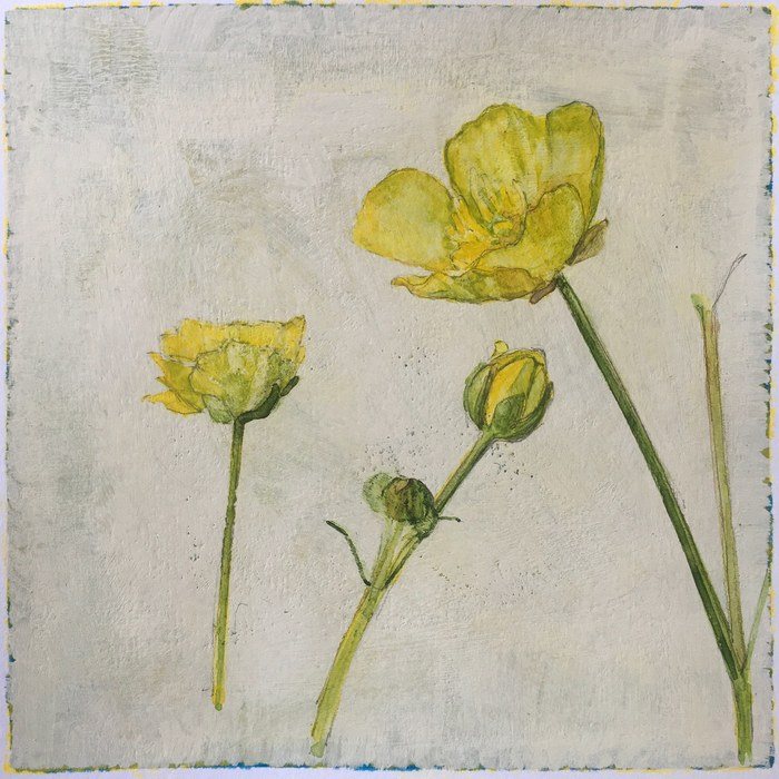 Buttercups by Simon M Smith