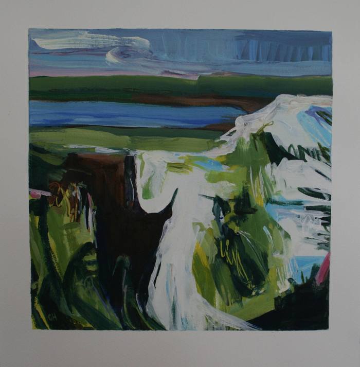 Ice in the Fields by Christine Harrison