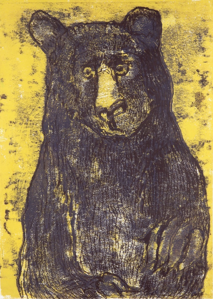 Grizzly Bear von Kate McCrickard