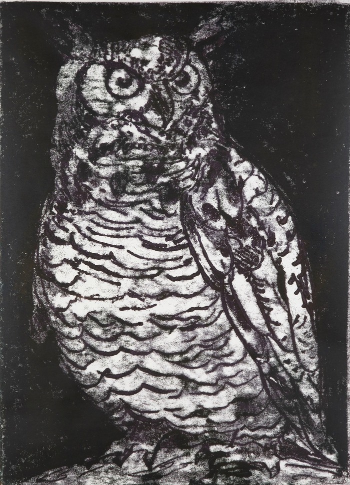 King Owl von Kate McCrickard