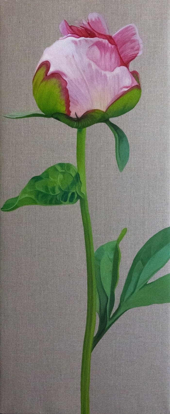 "Brote de peonía V" by Carmen Varela