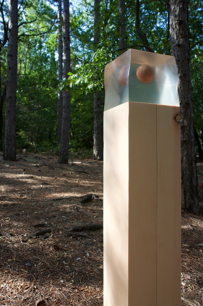 Semi di luce by Andrea Solaja