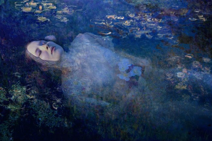 Like a painting of autumn von Viet Ha Tran