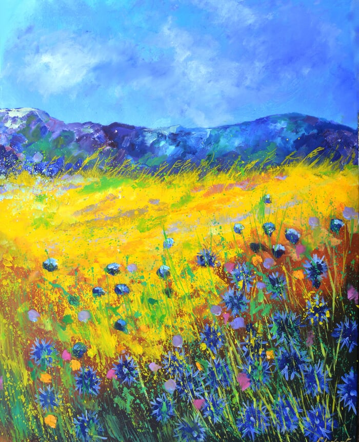 Summer field flowers by Pol Ledent