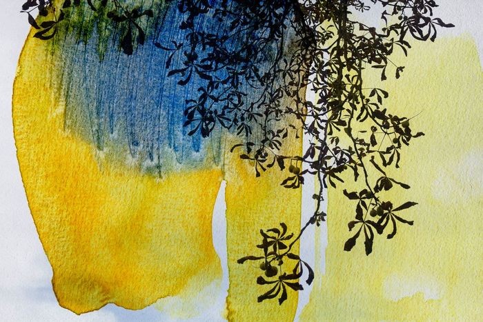 Tes éclaircies von Jérôme Pergolesi