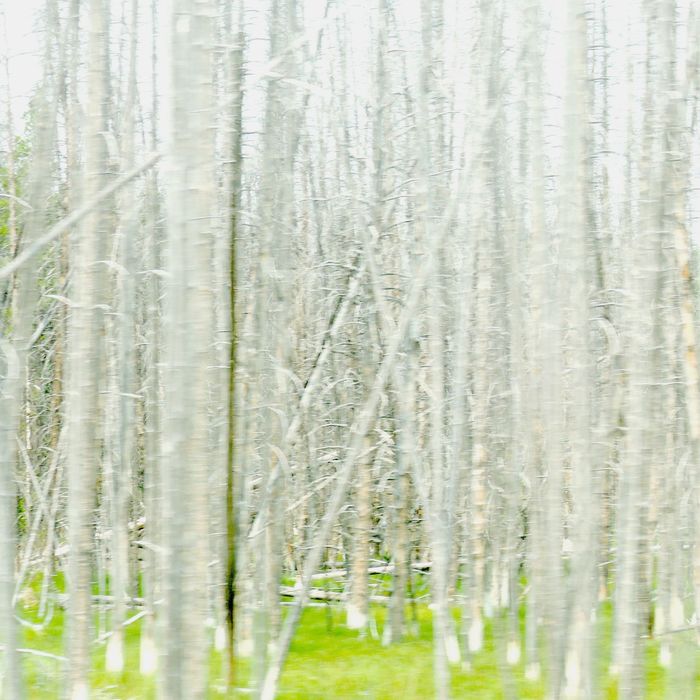 A travers von Stéphanie Malossane