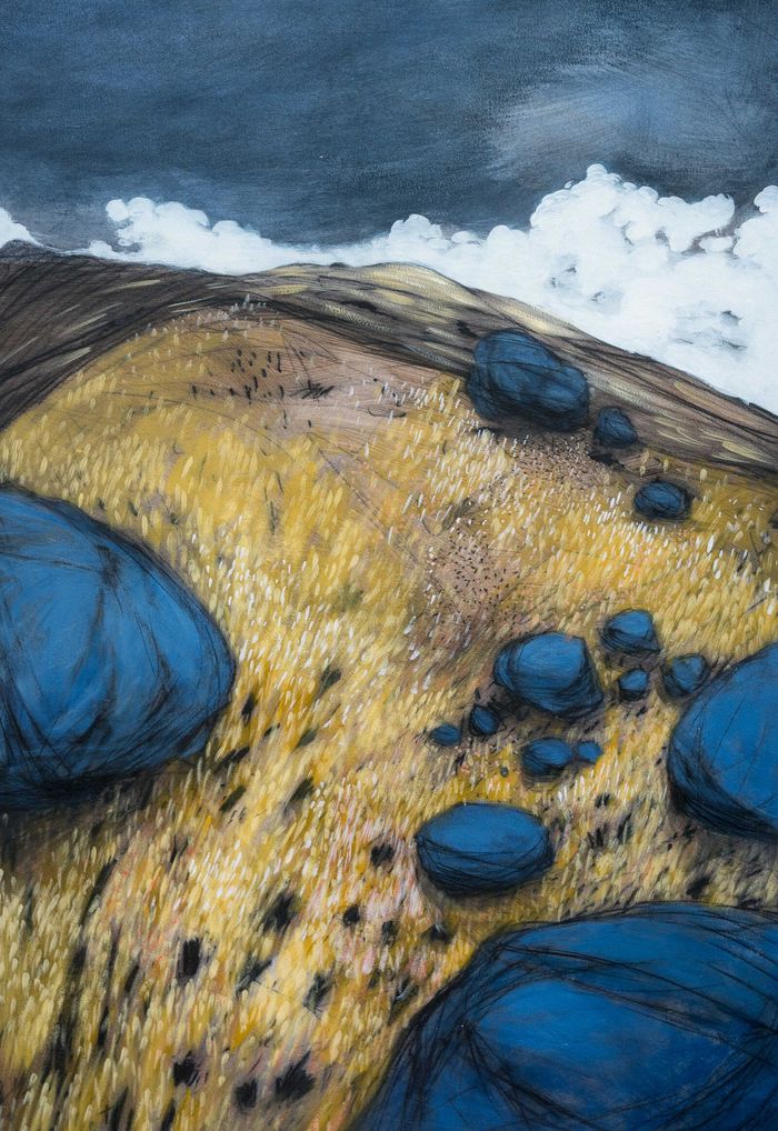 Hautes chaumes by Vincent Ganaye