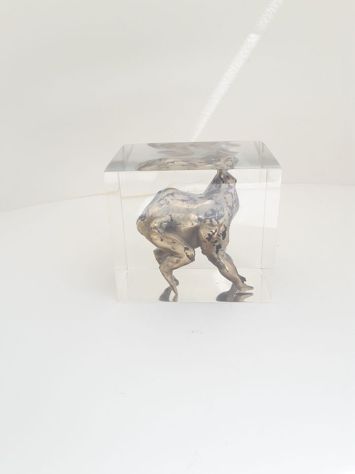 Anizarbi 2 : petit animal insolite par Adeline Weber Guibal