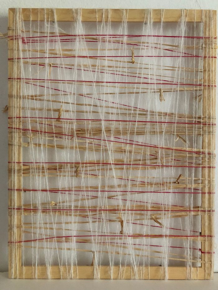 Le premier Filaire par Anne Iris