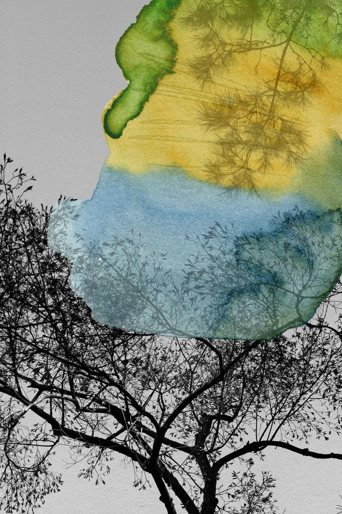 Alma par Jérôme Pergolesi