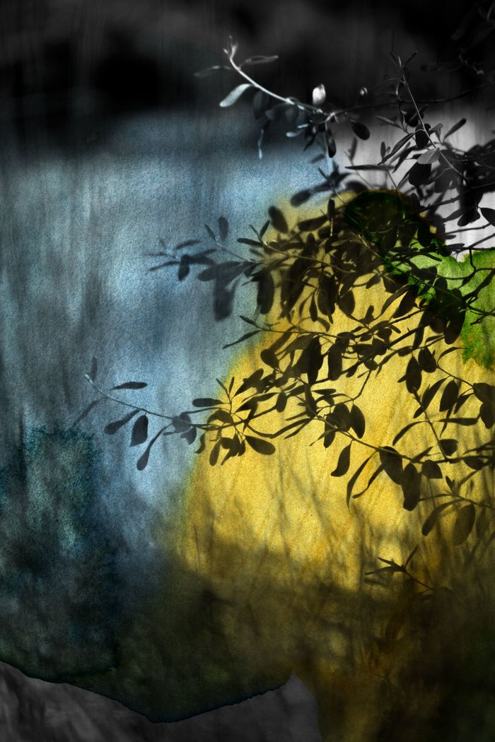 Fabio par Jérôme Pergolesi