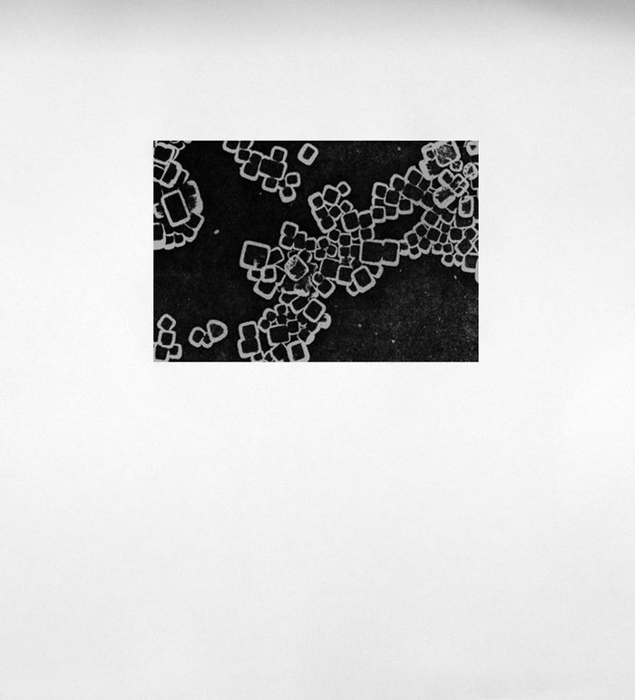 Lcd helio gravure V par Juliana Borinski