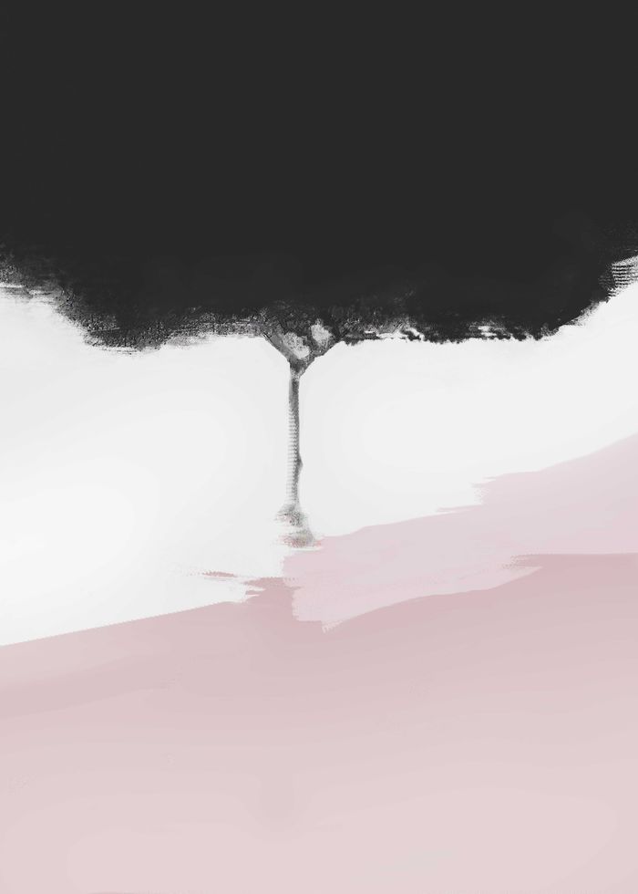 Rose et noir von Isabelle Chambon