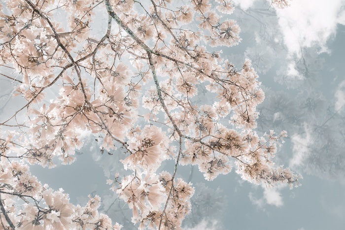 When I Dream of You by Kristin Hart