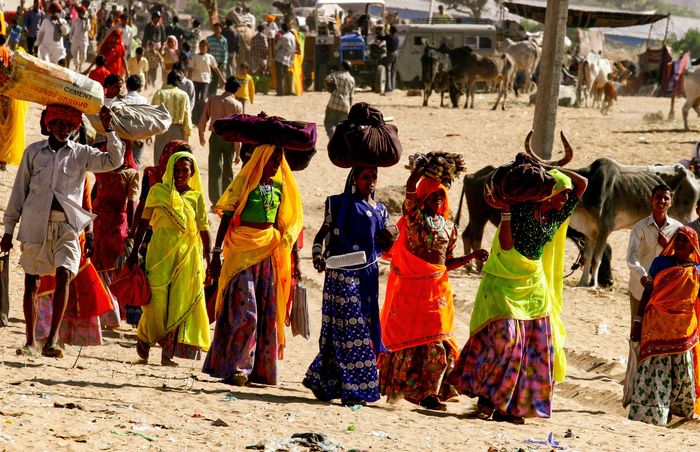 Inde. Puskar. Marché aux chameaux von Leroyphoto