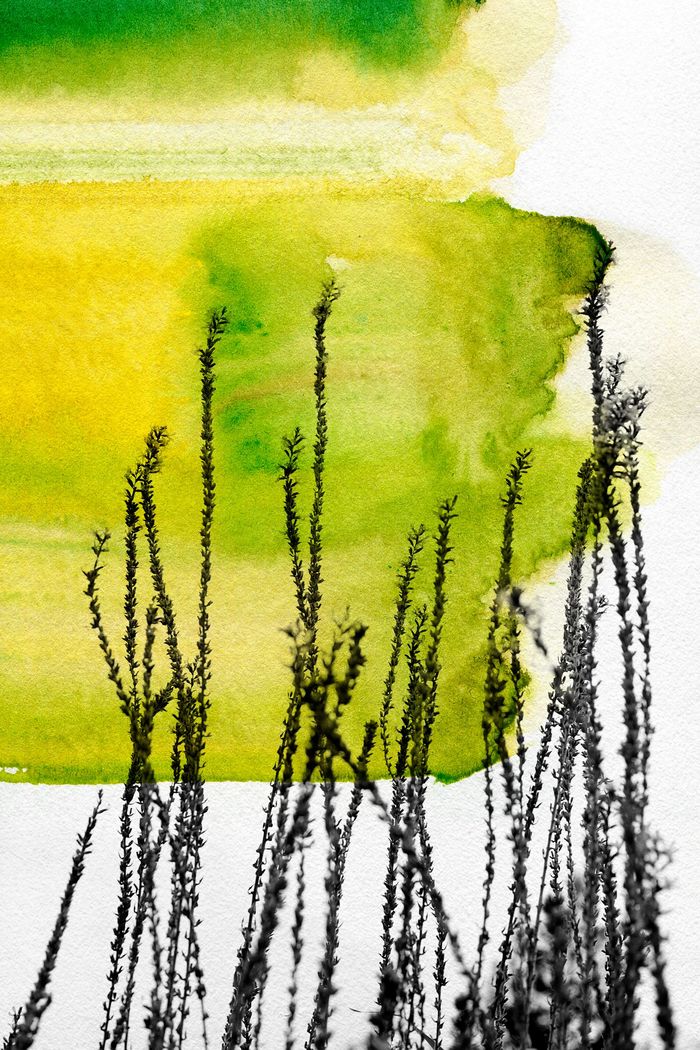 Nous par Jérôme Pergolesi