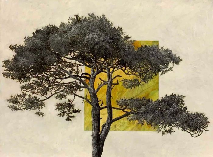 Portrait d’arbre 14351203 (1) par Cyrille Borgnet Dupont