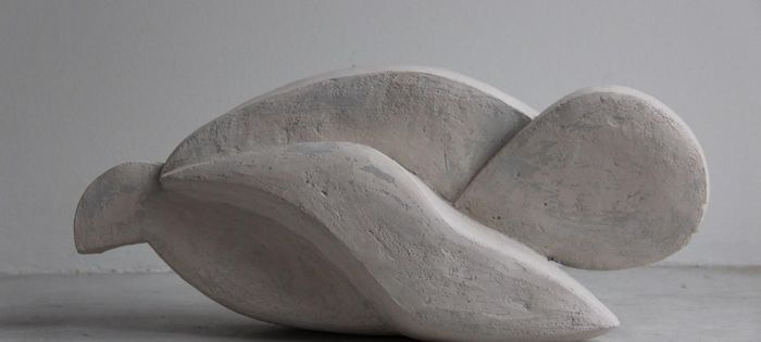 Birdy by Sophie Bocher