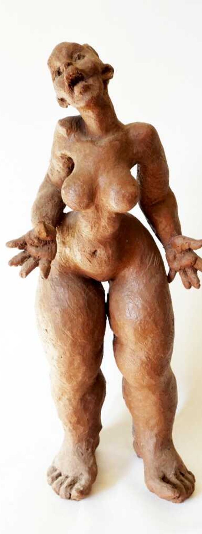 la Vénus Hottentote by Marie-Thérèse Tsalapatanis