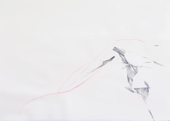 Petite anatomie 2 by LN Le Cheviller