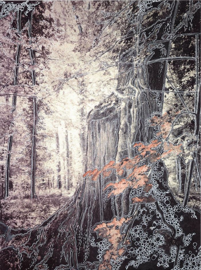 Les Vibrations de la forêt #7 by Gaëlle Cueff