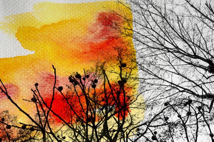 Back Home par Jérôme Pergolesi