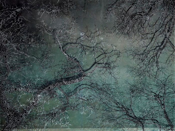 Les Vibrations de la forêt #1 by Gaëlle Cueff