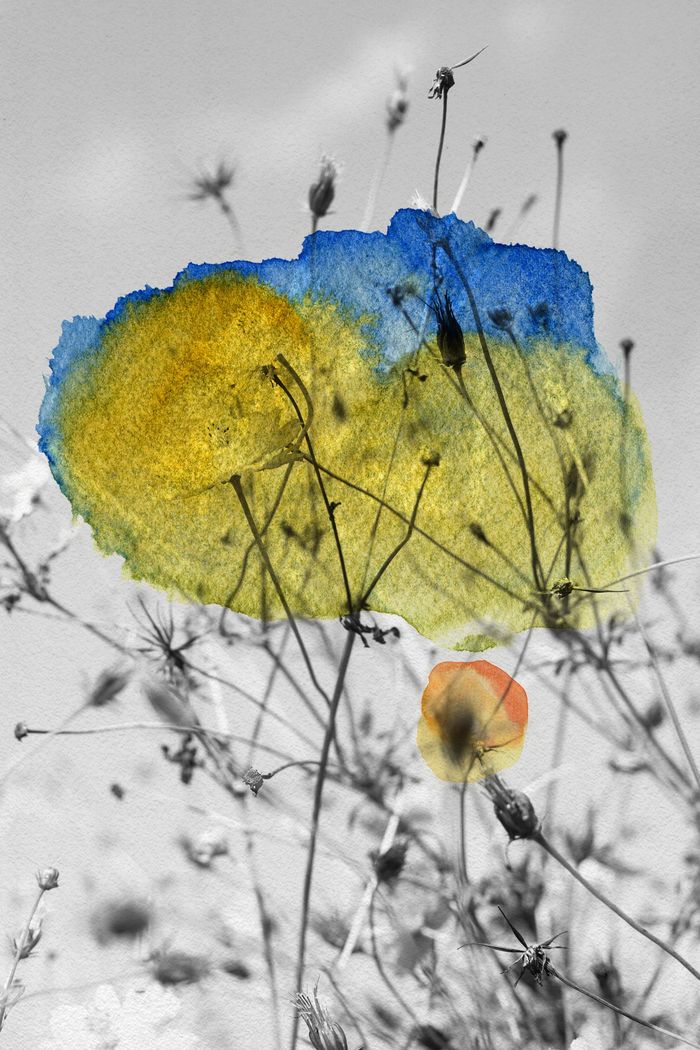 Potarsi & Soli von Jérôme Pergolesi