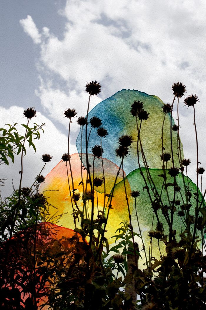 Lorenzo par Jérôme Pergolesi