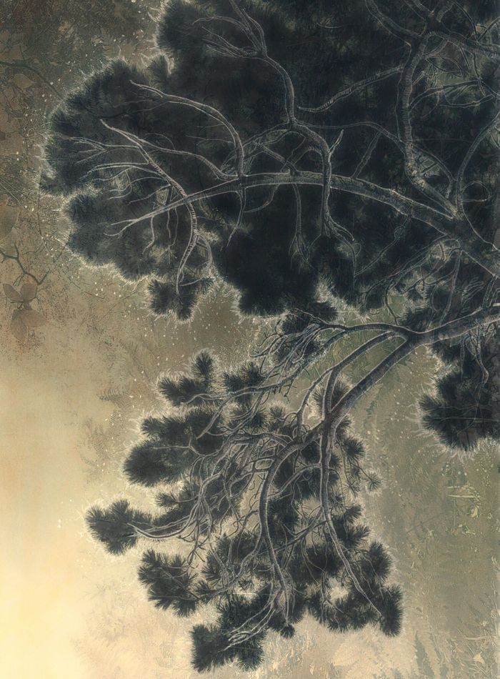 Les Vibrations de la forêt #31 by Gaëlle Cueff