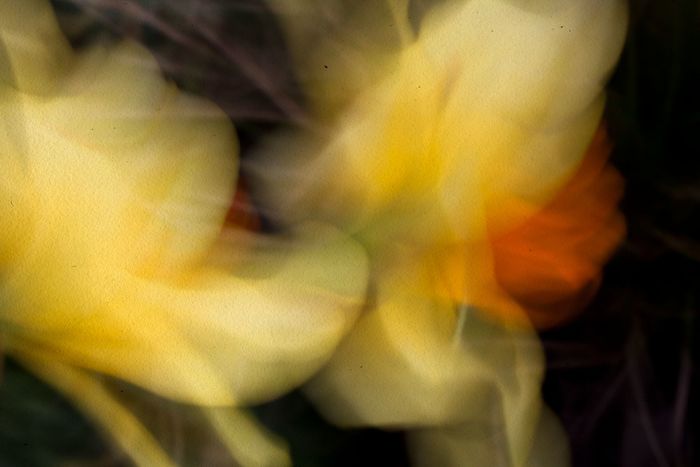 Albe et Mila II von Jérôme Pergolesi